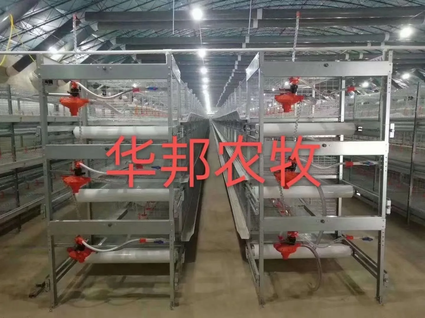H-Type Poultry Cage System for Layer Chickens Automatic Farm Cage Battery Layer Frame Broiler Cages For The Chicken House