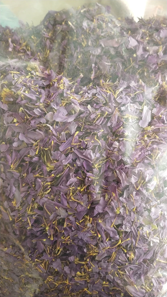 500g China online supply Genuine premium pure dried blue lotus flowers petals cuts and stigma broken parts