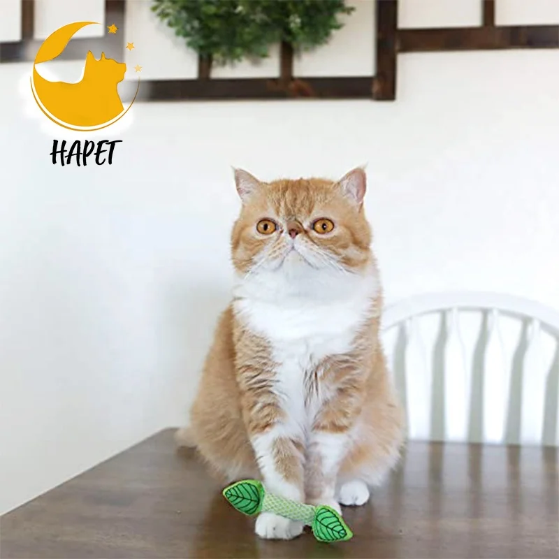 Supplier Pet Cat Catnip Toothbrush Toys Cat Chew Bite toys