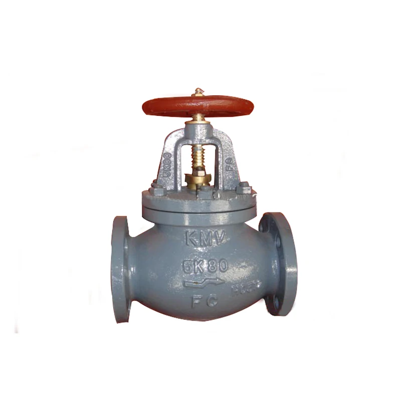 WZLD cast iron globe check valve,5k,flange end,JIS