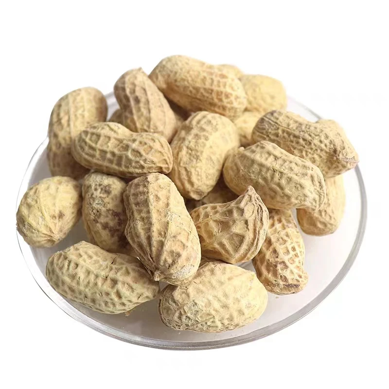 High Quality Export Dried Peanuts Hot Wholesale Snack Food China Roasted Peanuts