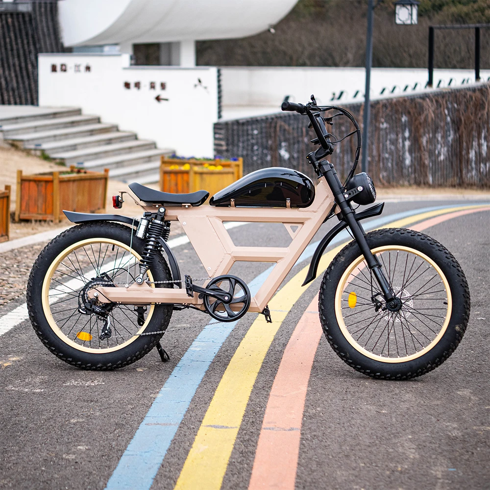 Long tail Cargo Bike Rear Hub Motor Mini Bike Electric Fat Tire Folding Electric Bike