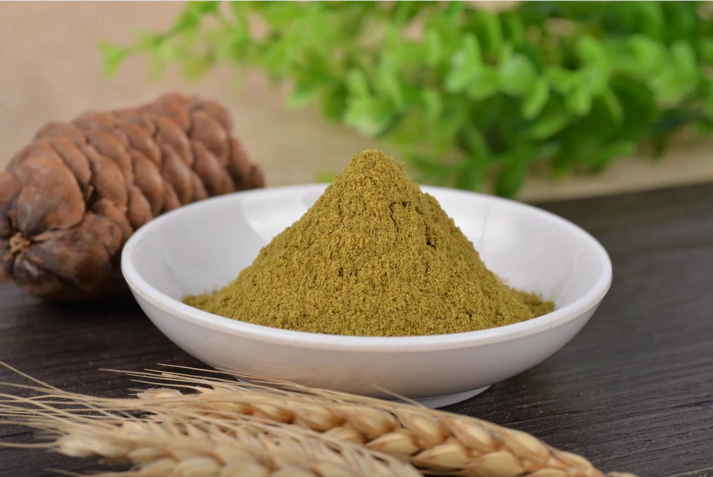 Hot sell China Dried Dried Jalapeno chili Powder  With Cheap Price