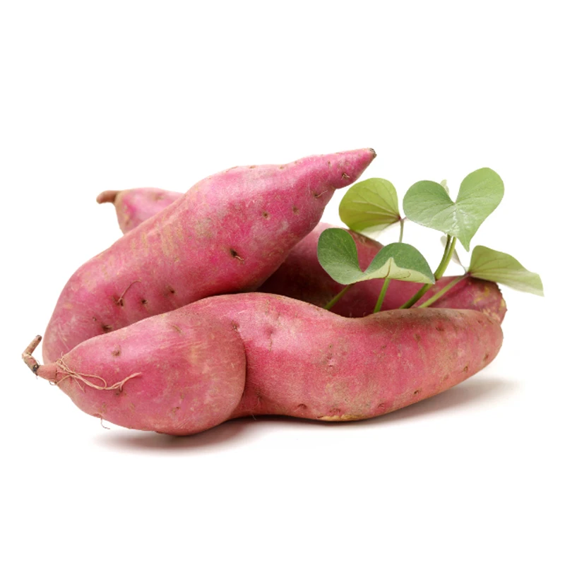 Fresh Organic Sweet Purple Potatoes