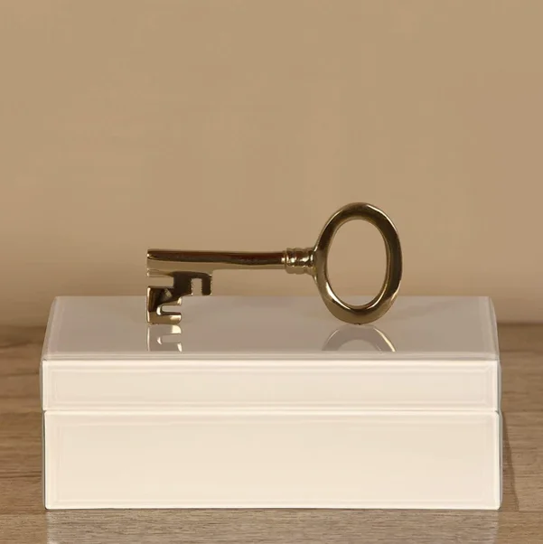 Good looking new design mirror ring new style ornament jewelry boxes trending color fancy boxes high end designer