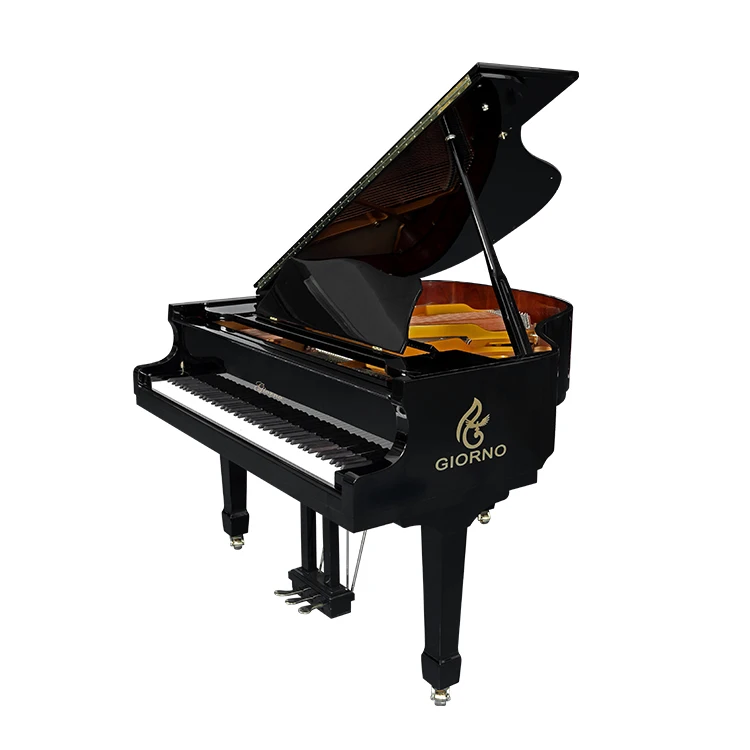 
China Fiberboard Various Classic Mechanical Price Of Piano Learn Mini Grand Piano 