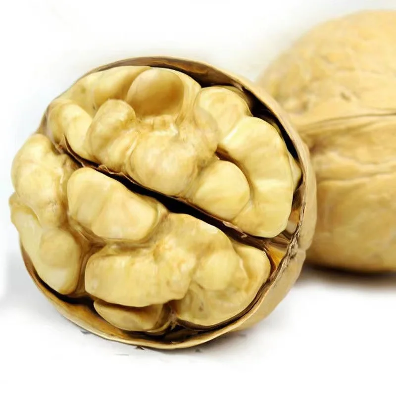 China Xinjiang wholesale shelled organic walnut nuts buy standard walnuts online
