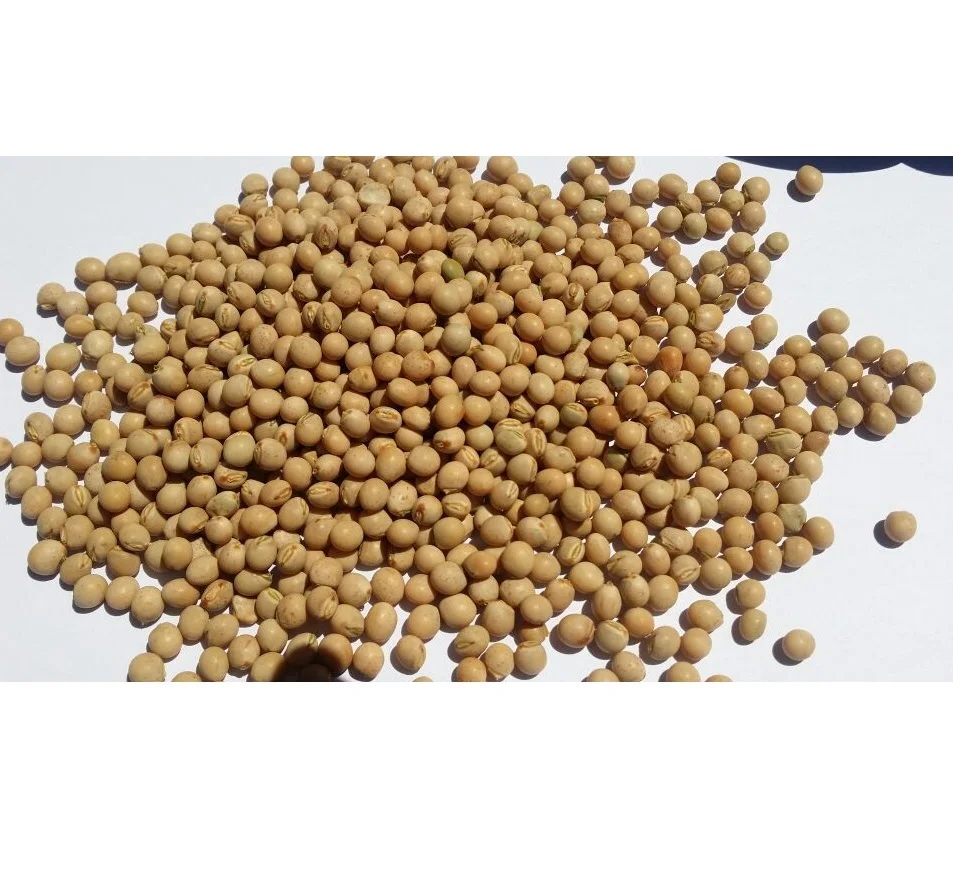 Высшее качество Лидер продаж сухой голубиный горох из Эфиопии