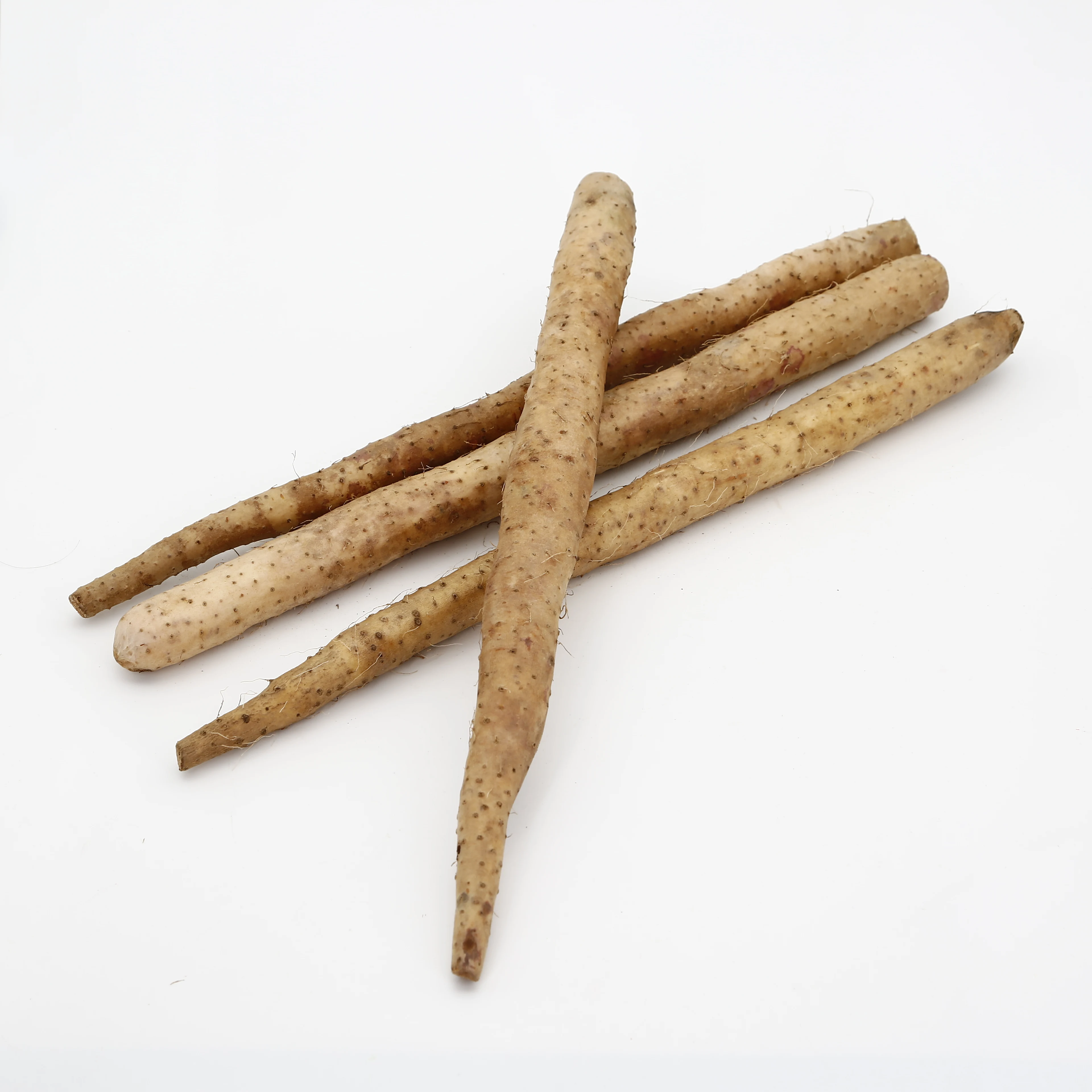  Fresh burdock Bulk IQF frozen fresh
