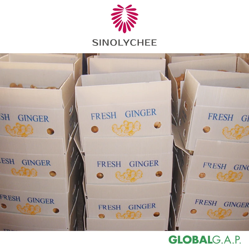 Chinese Export Fresh Ginger Dried Ginger For Sale Wholesale Price