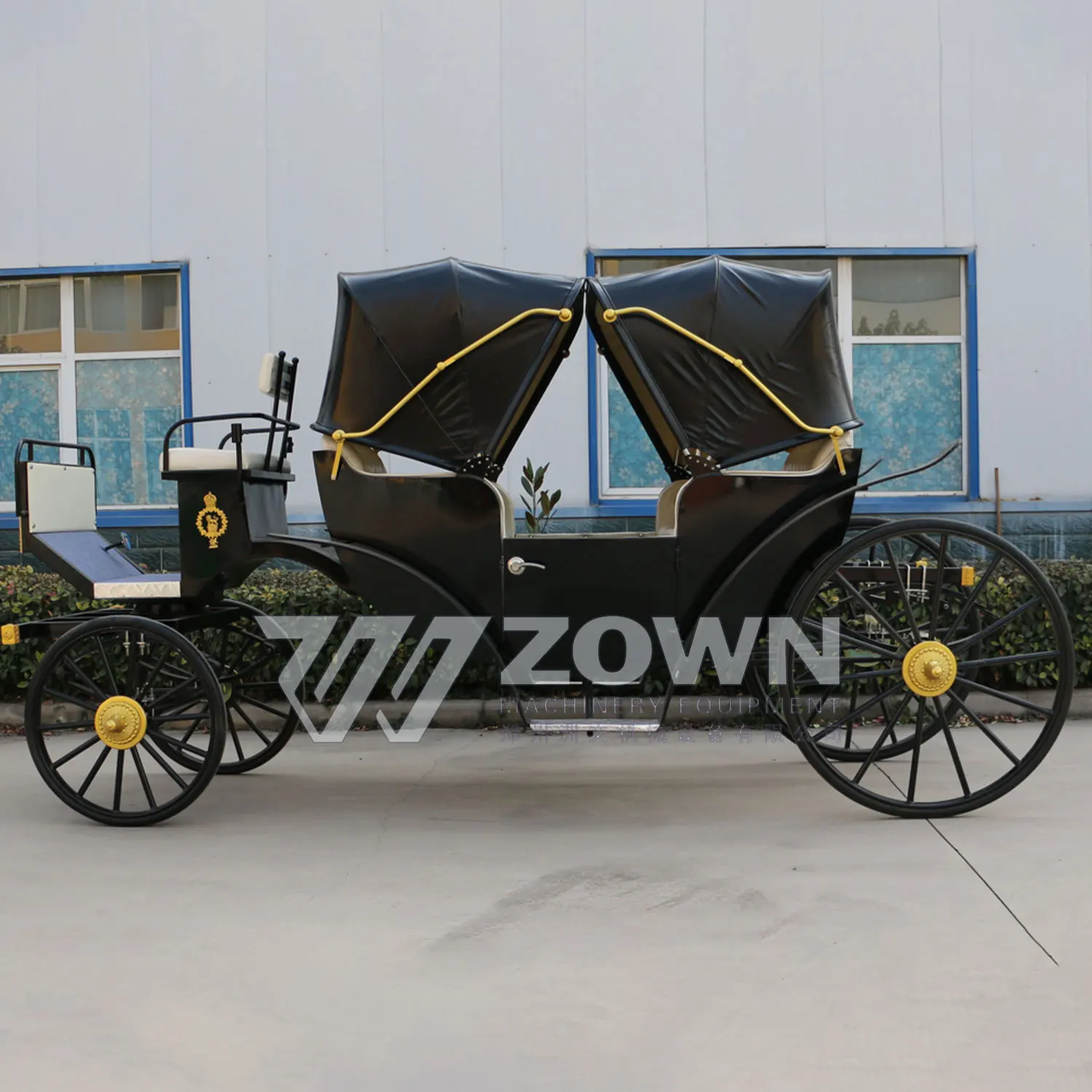 Luxury Black Sightseeing Victoria Electric/Horse-drawn Style Carriage Royal Classic Sightseeing Carriage for Sale with Lights