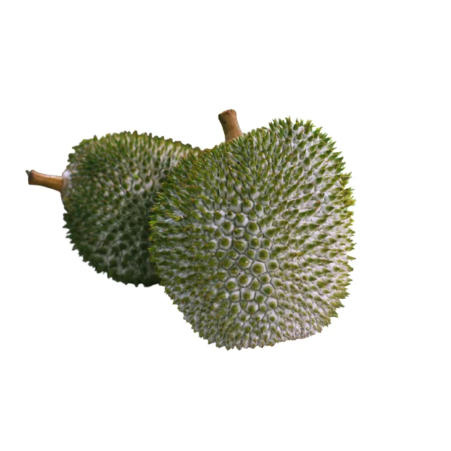 High Quality Malaysia Wholesales Fresh Durians IOI AA D168 from Top Malaysia Durian Fruit Supplier HALAL