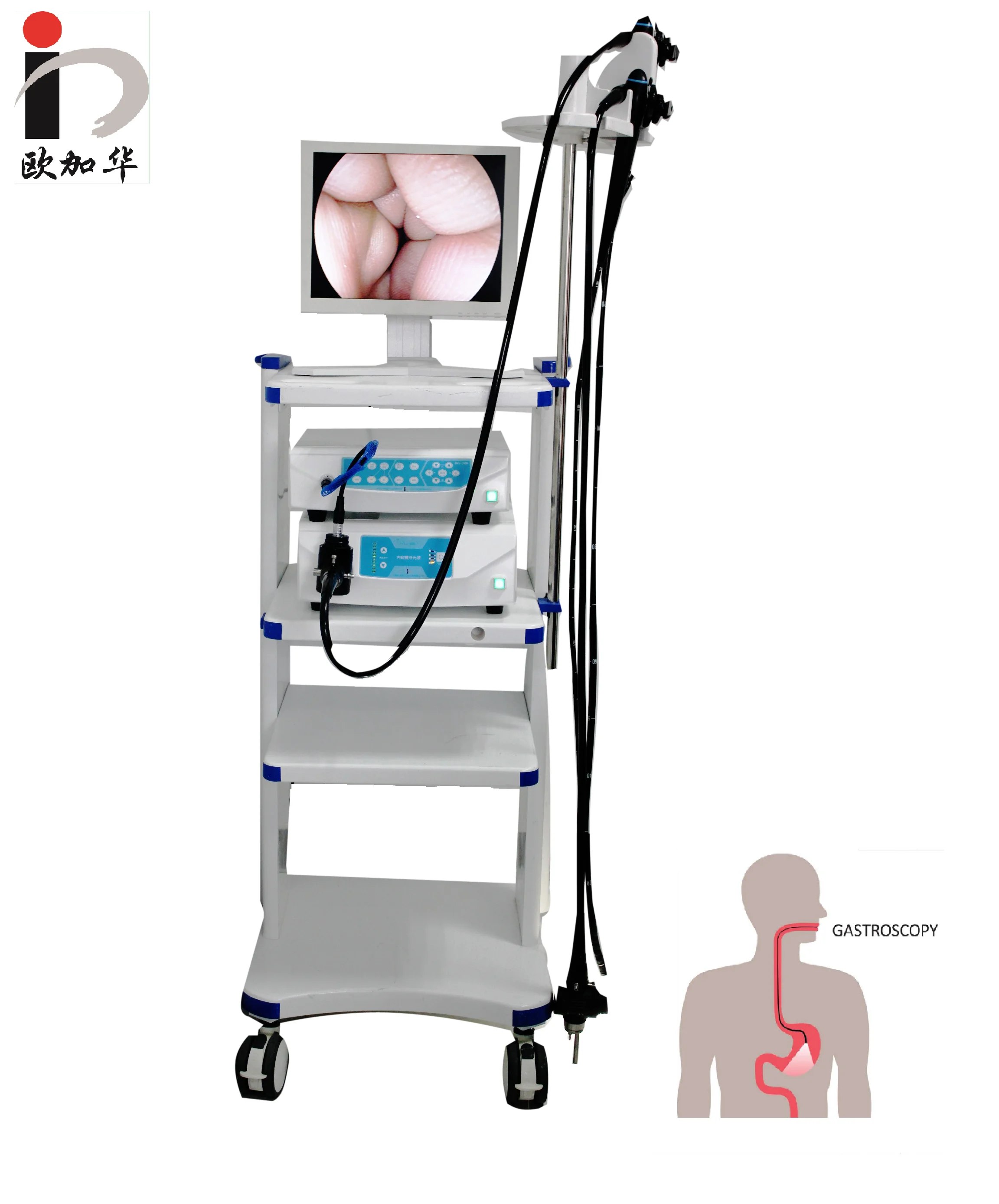 OJH Medical Device Gastroscopy And Colonoscopy Endoscopy System Flexible Optic Equipment With Cold Light Source In One Tower