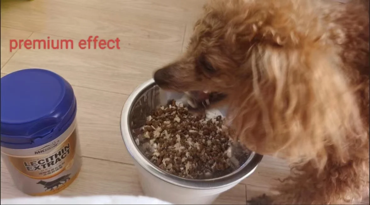 pet supplement beef flavor 400g LECITHIN EXTRACT granules for cat dog