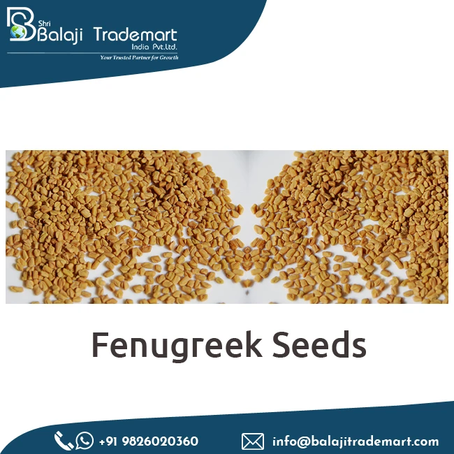 Exclusive Sale Globally Famous Sortex Cleaned Natural Fenugreek Seeds at Wholesale Price