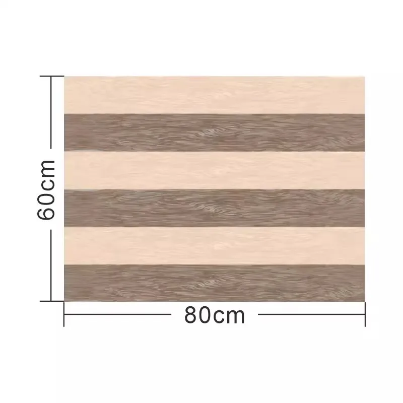 Entrance mat with antibacterial, dust removing and adhesive properties living room floor mat   high-end home use no washing