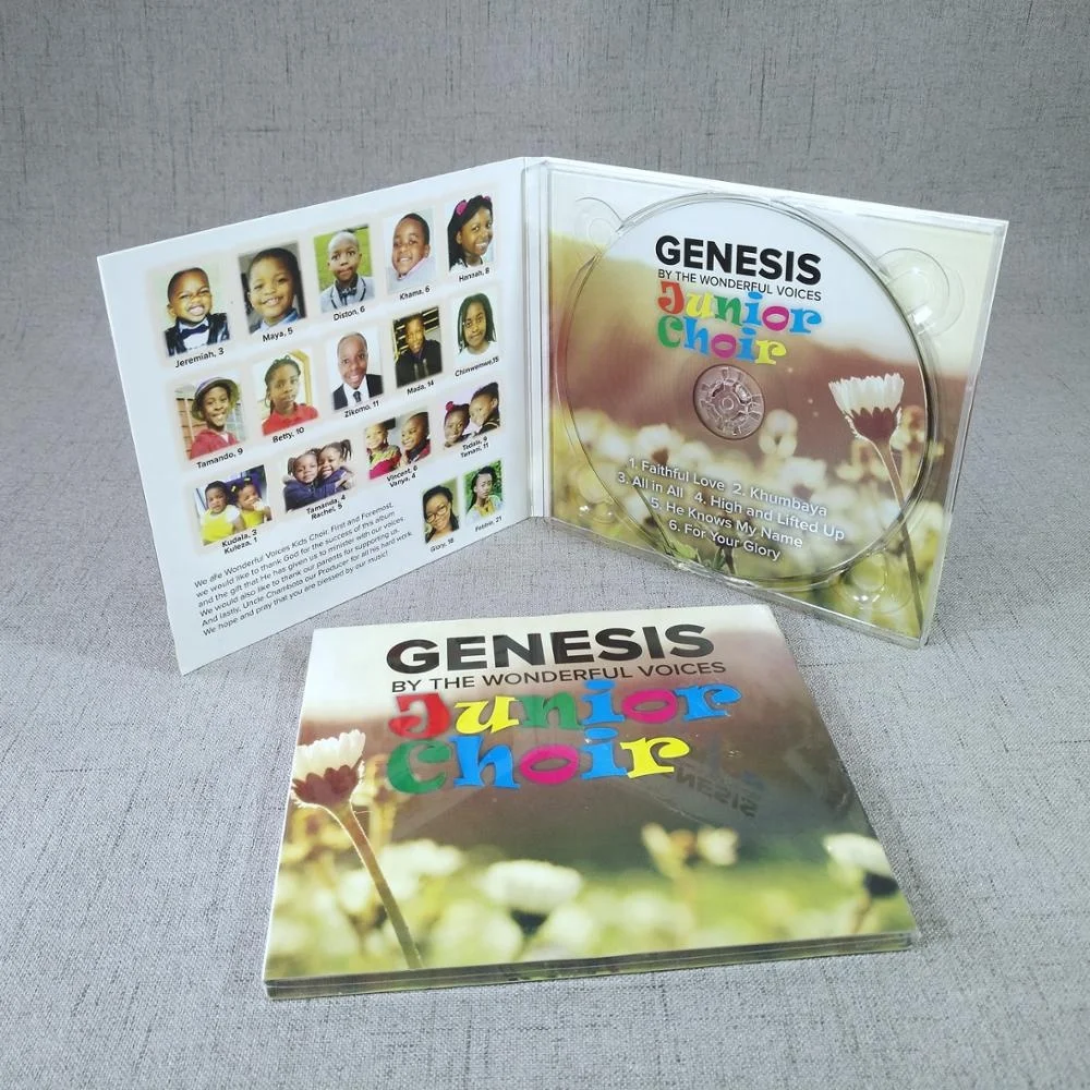 CD Disc Pocket CD Sleeve CD Music Disk Replication & Printing