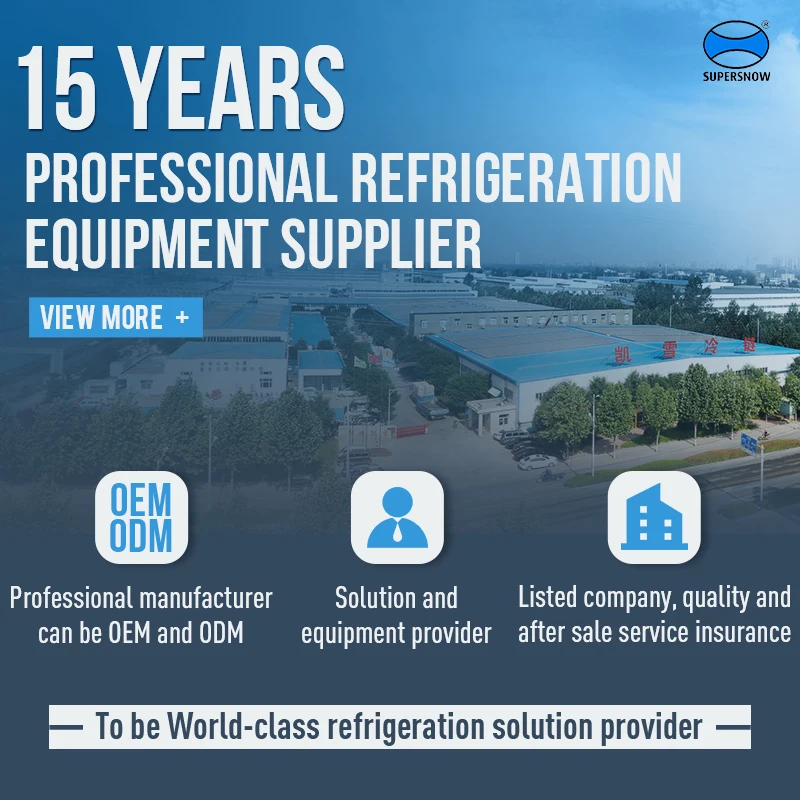 Kaixue refrigeration equipment for cake display freezer