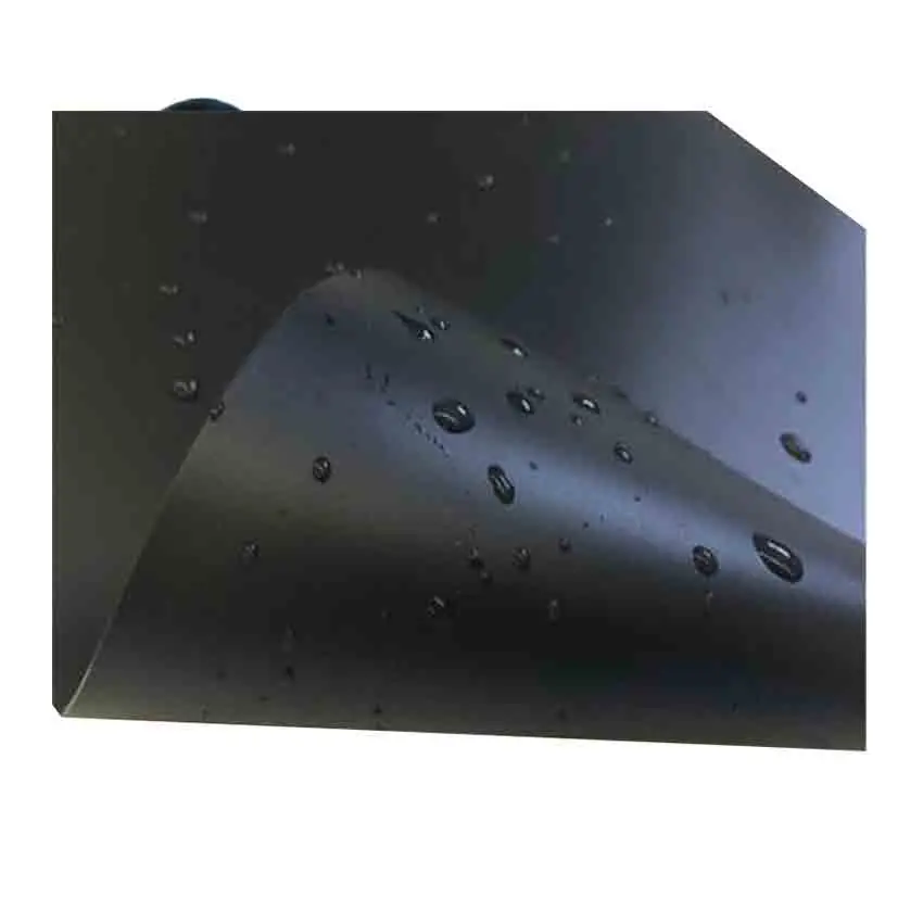 Anti-seepage Geomembrane Free Spare Parts Pead Geomembrane Modern Manufacturer Waterproof Membrane