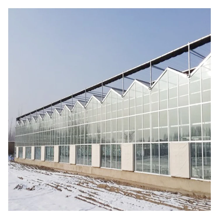 tomato planting Commercial polycarbonate Green House metal frame glass Greenhouse Agricultural Greenhouses For Sale