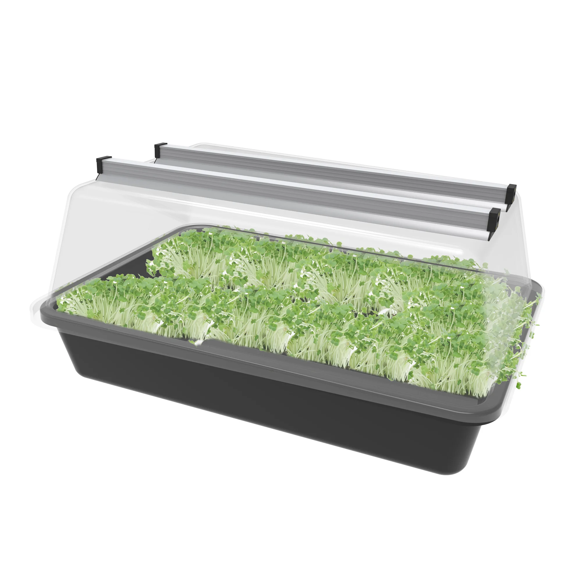 Competitive Price  hydroponic growing systems greenhouse t5 reptile light