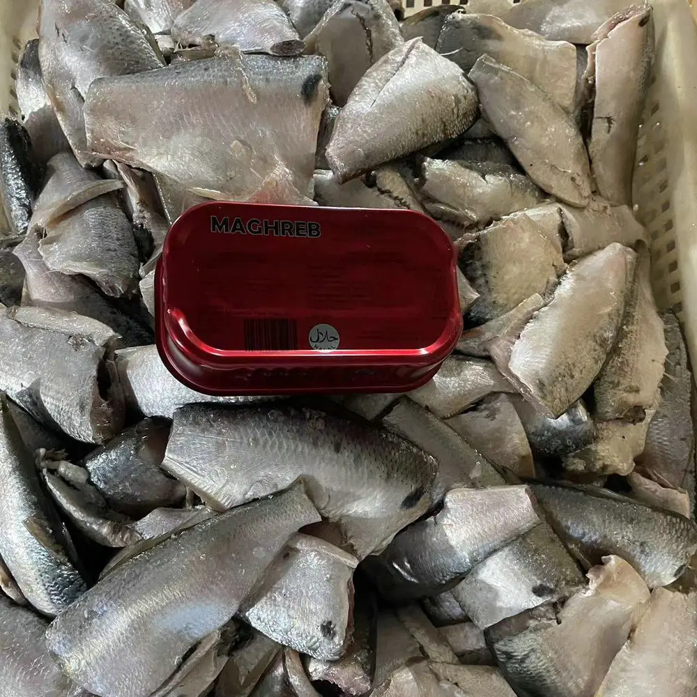 Factory Price canned Fish Sardine from Morocco,125g sardine in vegetable oil, wholesale price