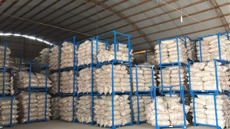 Best price new crop fresh garlic original supplier full dried goods garlic from garlic factory