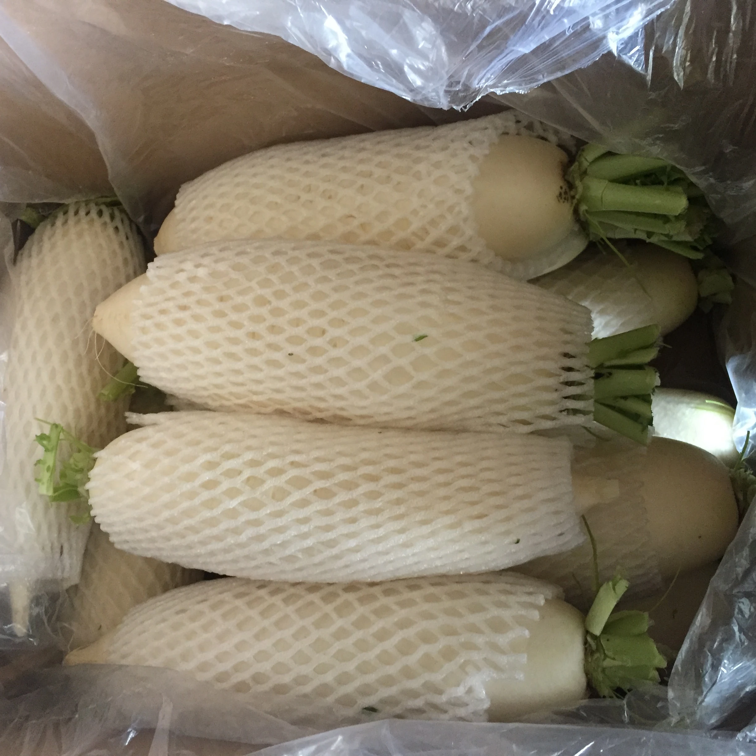 2023 new season of Chinese fresh vegetables Fresh green and white radish for export White Green dry radish seeds price
