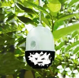 Set of 6 Chemical Free Wasp and Bug Traps Pollution-Free Insects and Bug Catcher Chemical-Free: Non-toxic, no irritating smell