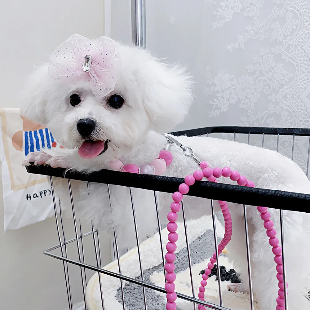 2023 New design colorfully cute pet collar leashes dog collar and leash set