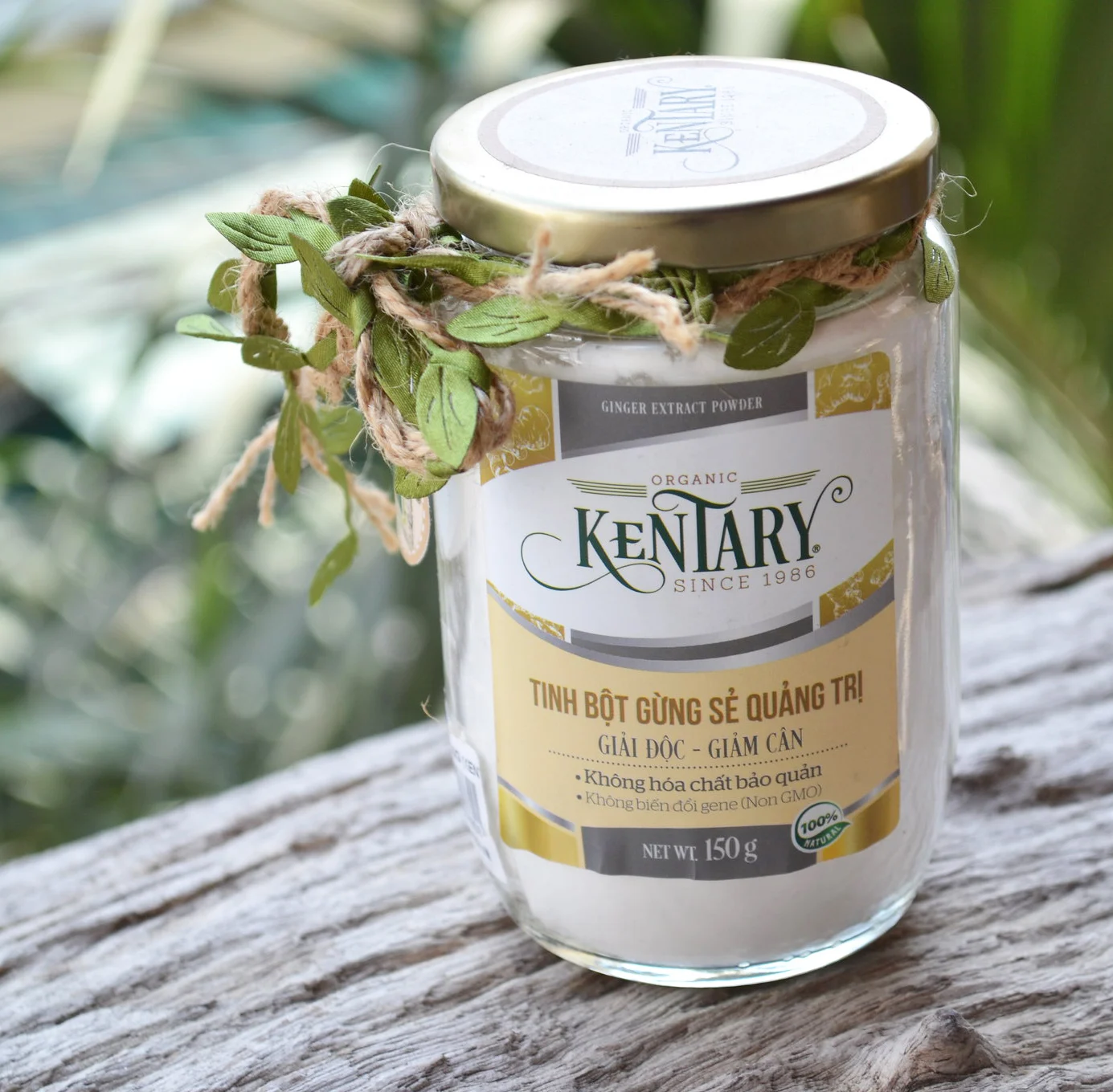 Ginger Extract Powder for Nausea Stomach Intestinal Cardiovascular Health Hight Quality Best Price Made in Vietnam