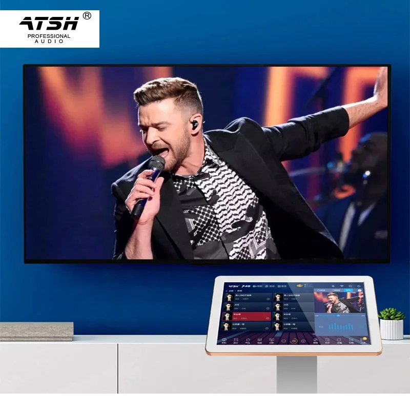  Китайская фабрика семейный аудиокомплект KTV домашняя гостиная система караоке для домашнего кинотеатра с 10 и 12 дюймовыми