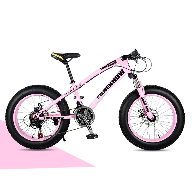 Steel fat tire big tire 26 inch 24 speed manufacturer MTB mountain snow bike beach bike mtb Bicycle
