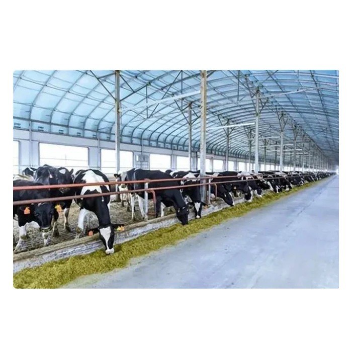 Modern Chicken Shed Building Steel Structure Prefab Goat Farmhouse Dairy Farm Architecture Design