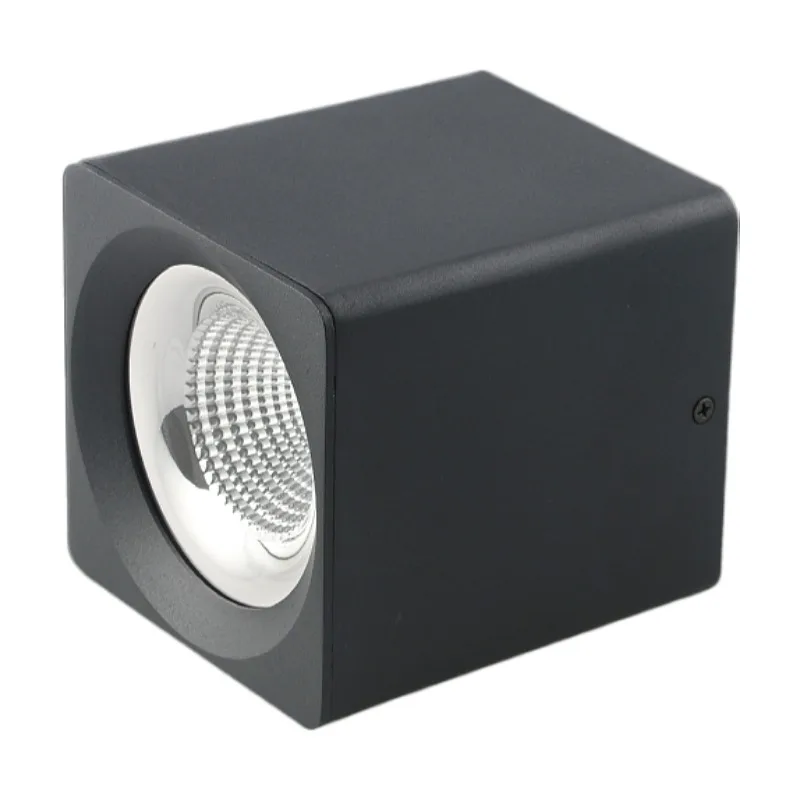 Good Quality 40W Led Down Light Die-Casting Aluminum COB Led Downlight