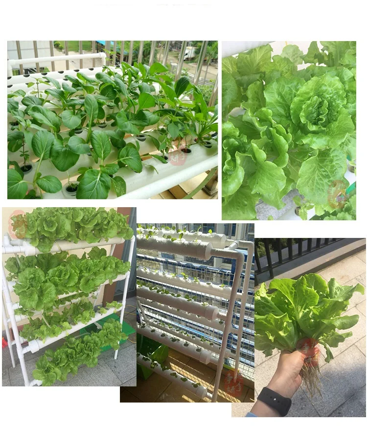 NFT Greenhouse Hydroponic Vertical Growing Systems 108 Holes