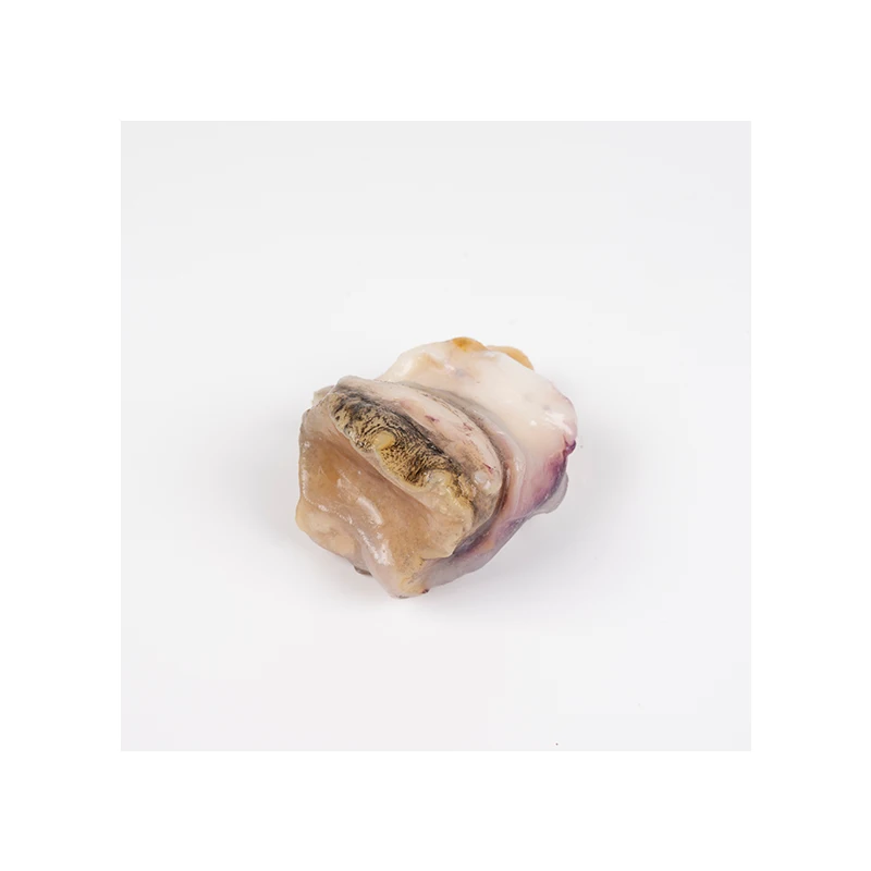 Factory direct conch meat sale without shell frozen natural conch meat
