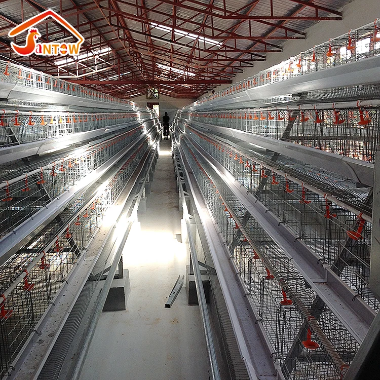 Chicken Poultry Layer Cages System
