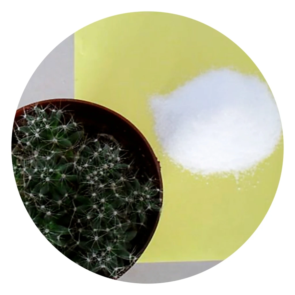 127-09-3 High purity  Sodium acetate with best price