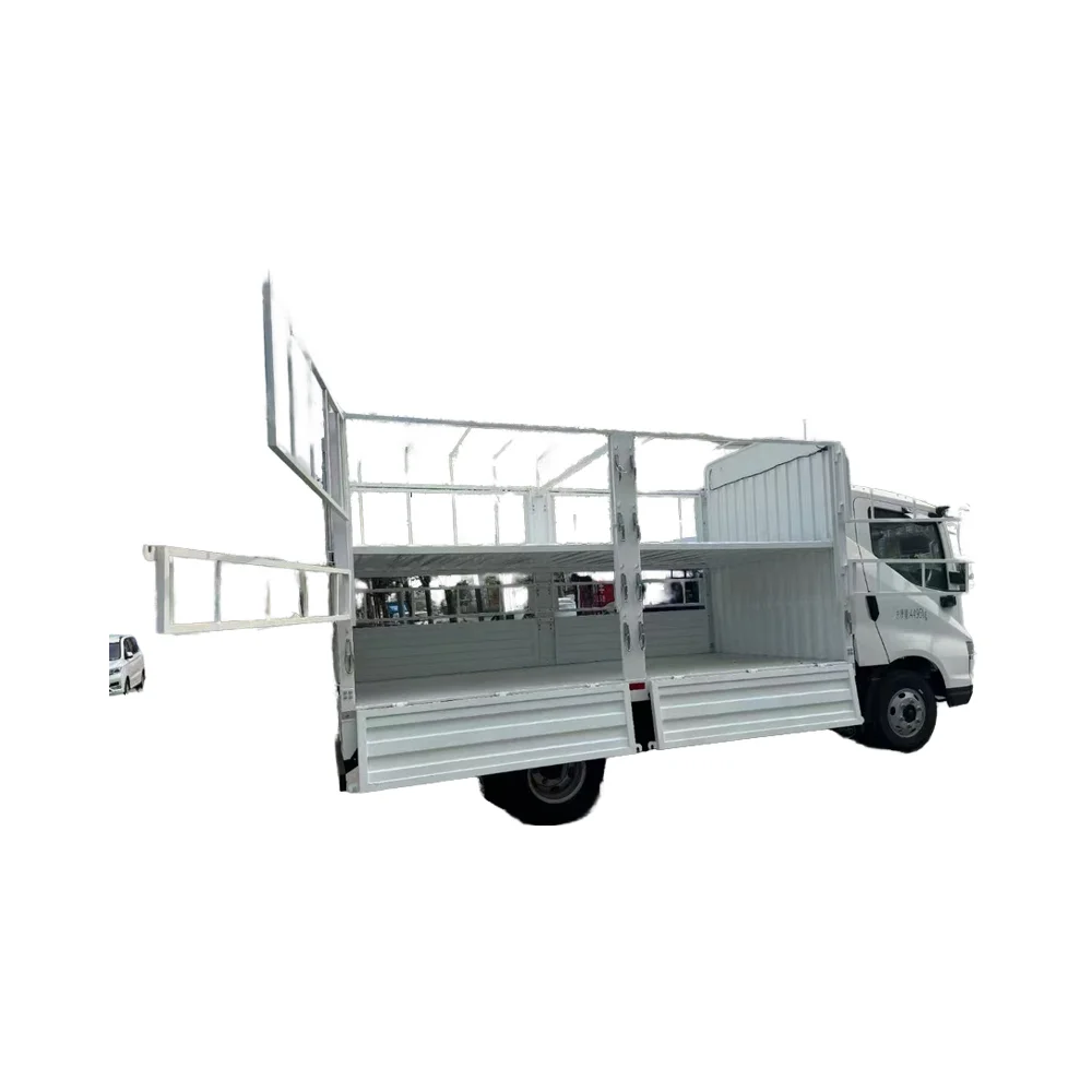 2024 BYD T5DM Electric Cargo Truck Chinese Brand BYD Fruit Vegetable Transport Vehicle 1000KM Endurance Bridge Car Control Can