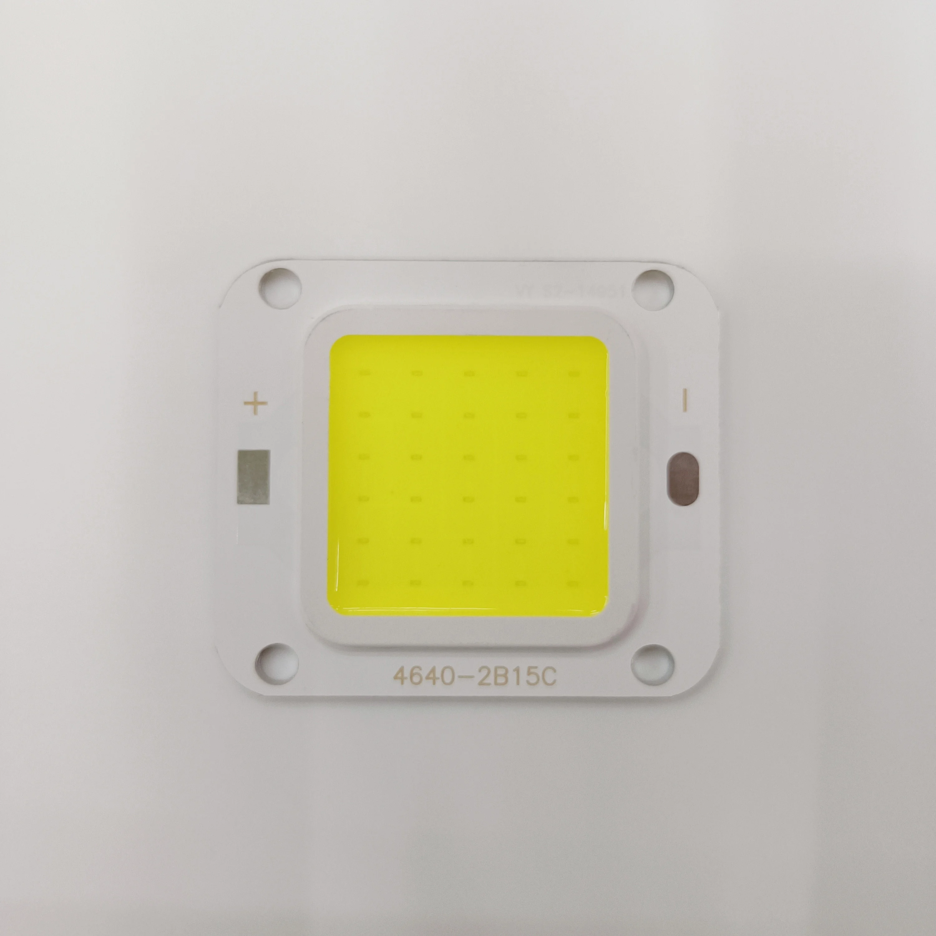 COYOLED 4640 COB LED Chips 220V/110V  10W 15W 50W LED COB Chips 1021 Chips for Outdoor Street Light Spot Light