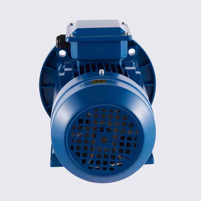 Russian GOST standard three phase asynchronous motor 0.75 kW small three phase motor