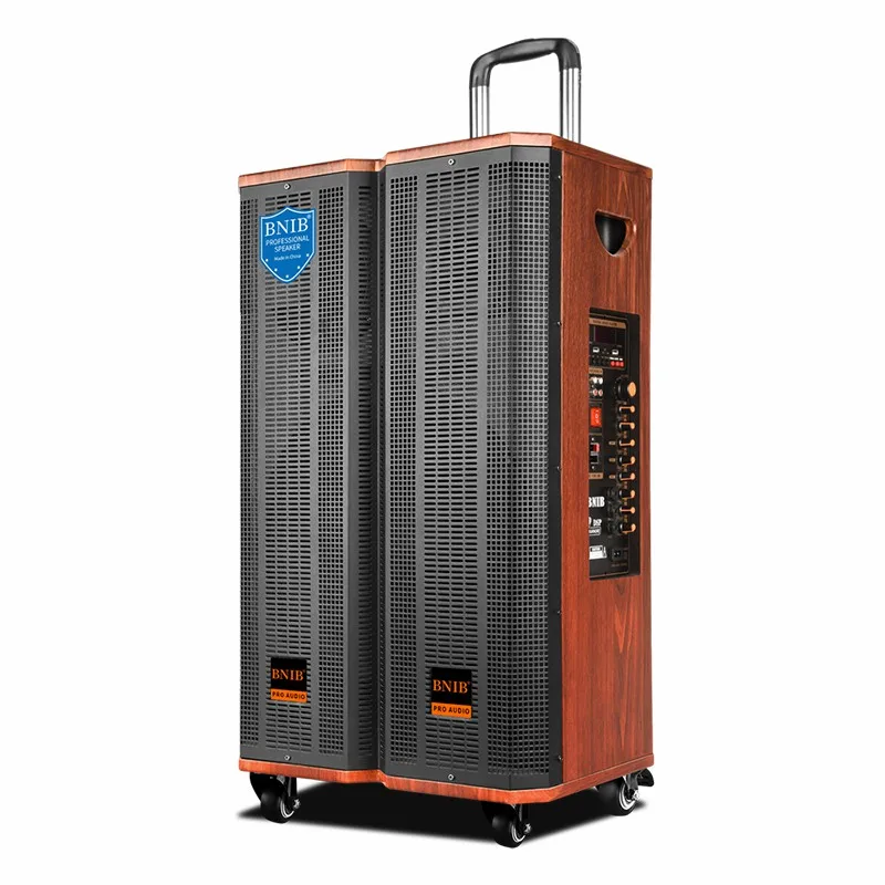 2022 New Arrivals Active Speaker Karaoke Speaker Outdoor Speaker Wooden Sound System ODM OEM