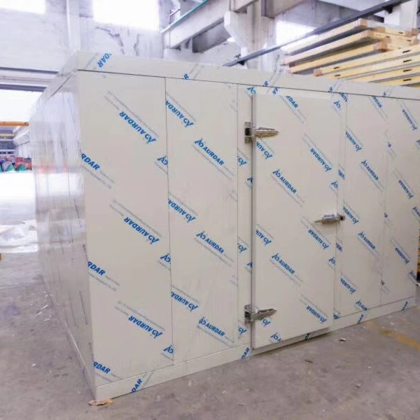 
Китайский завод changzhou, Прямая поставка, цветок, фрукты, грибы, овощи, холодильная камера, для продажи 