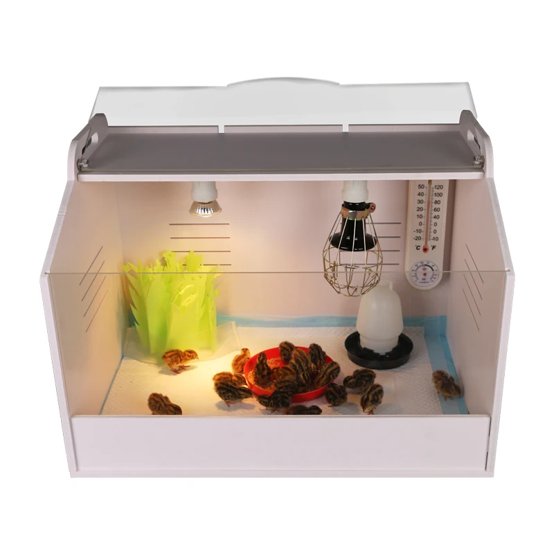 Высококачественная коробка для бровей с подогревом цыплят и