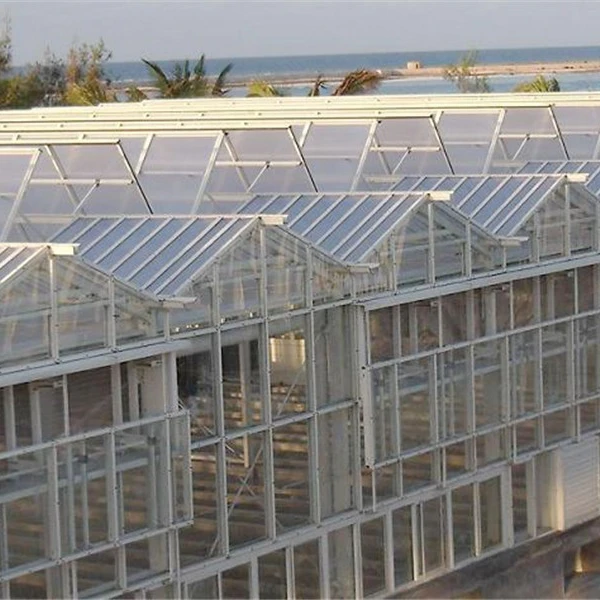 Multi-span Polycarbonate/ Multi-span Polycarbonate Commercial Greenhouse/agricultural  Polycarbonate  greenhouse