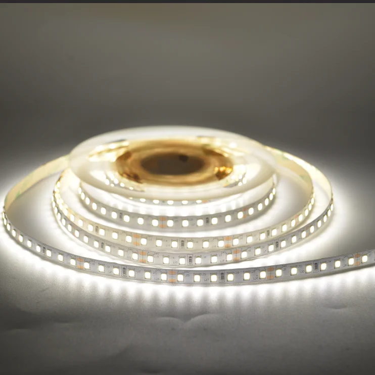 flexible custom color dc12v 24v smd2835 120leds 5m indoor ip20 cri80 warm cool white 2700k 6500k led strip