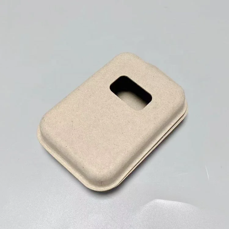 Eco friendly Molded Paper Pulp Packaging Box With Hung