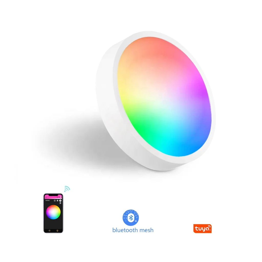 Plastic ceiling light panel made in China