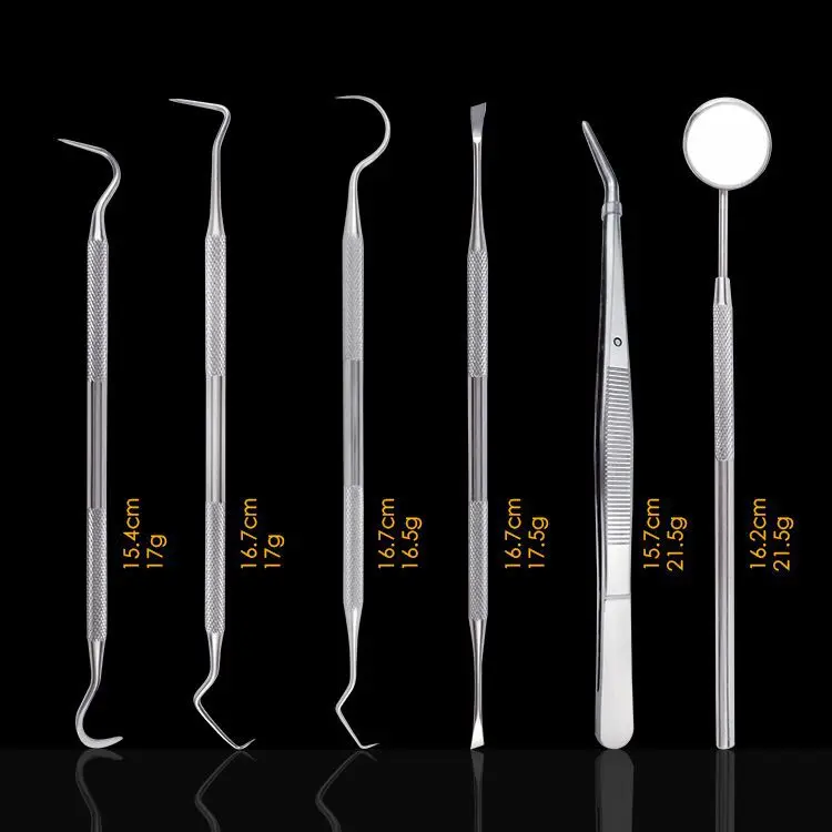 Wholesales High-end Stainless Steel  Professional Beauty Personal Care Dental Hygiene Kit for Home Use Tools